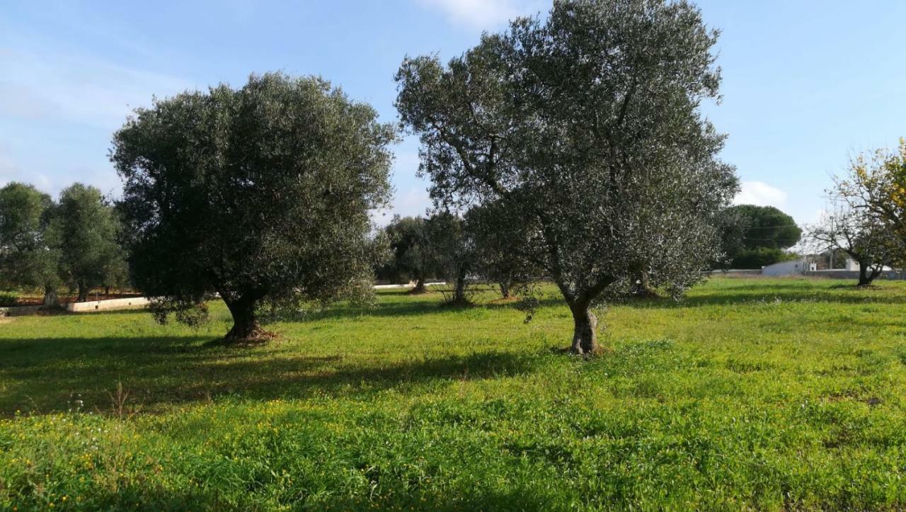 Holiday home Degli Ulivi