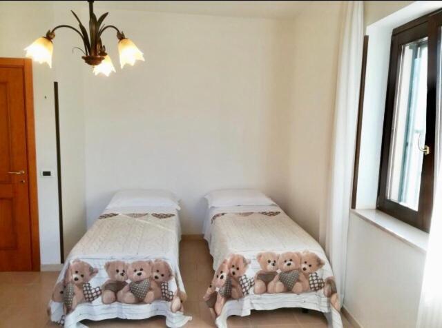 Degli Ulivi Holiday home